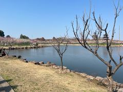 -上海海湾国家森林公园