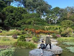 -东莞植物园