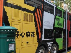 -BUS TOUR观光巴士