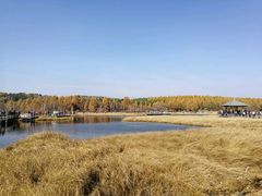 -塞罕坝国家级自然保护区