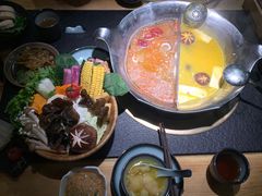 红颜花胶鸡锅-湊湊火锅·茶憩(石家庄万象城店)