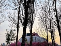-辛氏火炉·韩式古法烤肉(松北店)