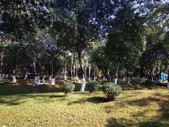-天河儿童公园