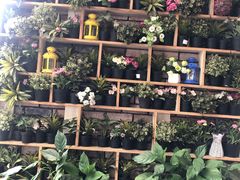 -巴壁馆(海棠花语店)