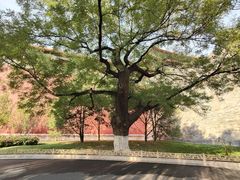 -东华门大街小区