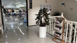 -痘博士昆明·国际祛痘领跑品牌