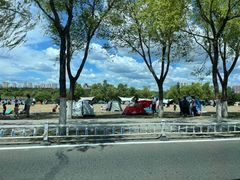 -哈尔滨大剧院