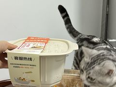 -小满手工粉(北京富力广场店)