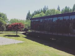 -同里国家湿地公园
