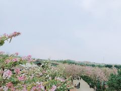 -海珠湖公园