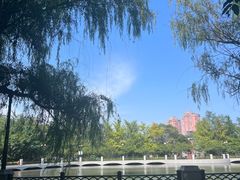-大连植物园