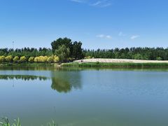 -东郊湿地公园