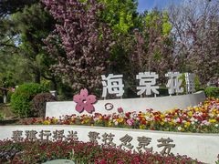 -海棠花溪(元大都城垣遗址公园)