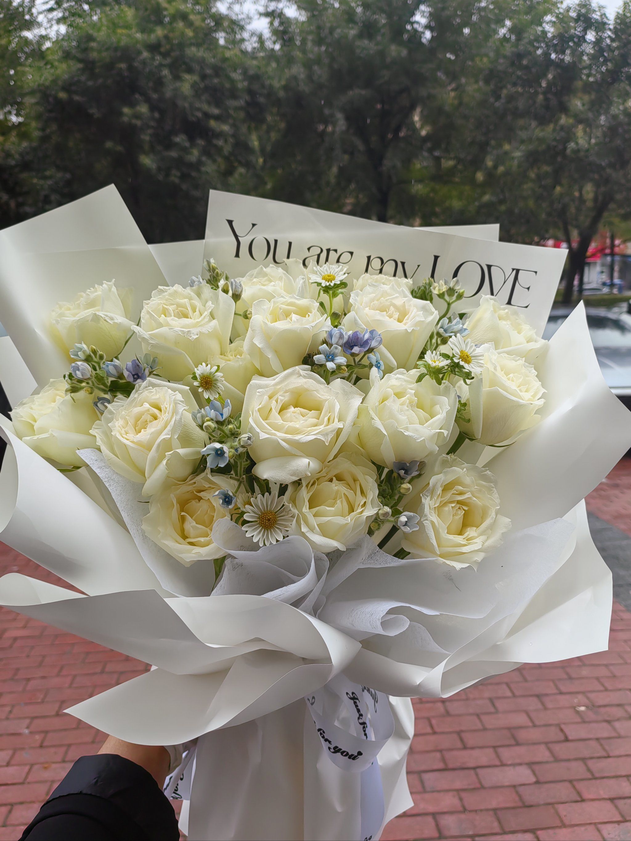 鲜花客订白玫瑰花束纯洁的爱🌹