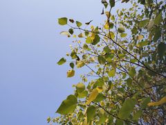 -淇河国家湿地公园