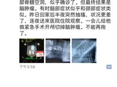 -北京派仕佳德动物医院·超导核磁·CT·神经科·骨科·内外科·急重症管理中心