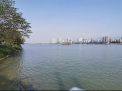 -美联英语(乐从天佑城中心)