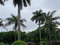 -番禺大夫山森林公园