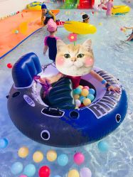 -猩积木儿童体智开发中心(未央店)