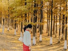 -艾溪湖湿地公园