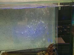 -旅南活海鲜-屏东(墾丁海鮮，海鮮餐廳，墾丁團體合菜，平價熱炒，墾丁熱炒店，活海鮮推薦，在地海鮮餐廳)