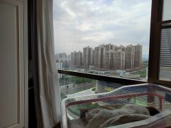 点击看大图 -梓爱月子中心(花都店)