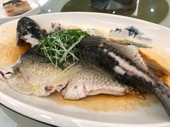 油盐蒸飞机皖鱼-松雅轩海鲜酒家(同和店)