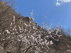 -龙门涧景区