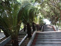 -重庆平顶山公园