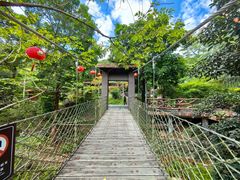 -海南热带雨林国家公园吊罗山景区