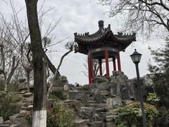 -莲湖公园