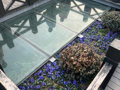 -东关历史文化旅游区-东门遗址