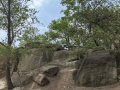 -白水寺森林公园