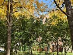 -浙江大学(玉泉校区)