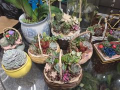 -FEI FEI FLOWER鲜花店·气球派对·宝宝宴布置(虹口德必运动Loft店)