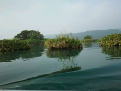 android_upload_pic-南国桃园旅游度假区