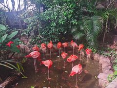-长鹿旅游休博园