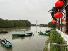 -东寨港红树林旅游区