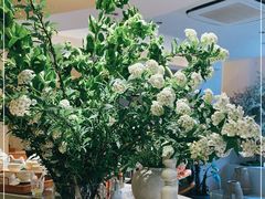 -HUATA 'Holiday Plan 花榻