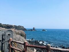 -涉地可支
