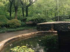 -申粤轩酒楼·三十年粤菜经典(丁香花园店)