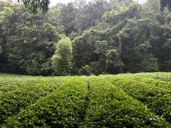 -敬亭山风景名胜区