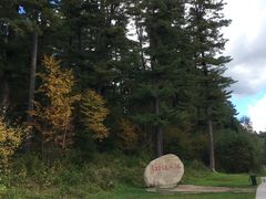 -五营红松林海景区