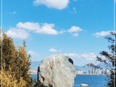 -洱海月湿地公园