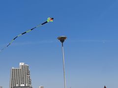 -港畔赶海蒸汽海鲜烧烤自助(仙螺岛店)