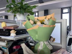 -美肌工坊皮肤管理