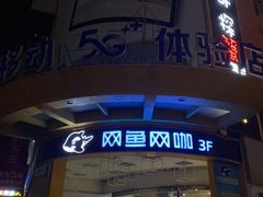 -网鱼电竞(广州百脑汇店)