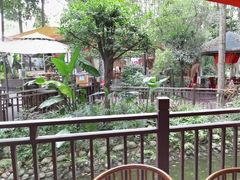 -二荆条·蜀鲜汇城市森林火锅