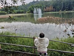 -福建鲤鱼洲酒店