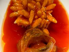 -赤宴·川菜(玉林店)